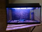 Juwel 60 liter aquarium, Dieren en Toebehoren, Vissen | Aquaria en Toebehoren, Ophalen of Verzenden, Zo goed als nieuw, Leeg aquarium
