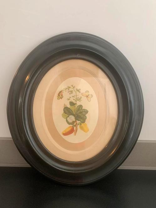 Antieke zwarte lijst met prent achter glas, Antiek en Kunst, Antiek | Overige Antiek, Ophalen of Verzenden