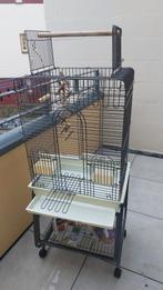 Te koop vogelkooi met standaard op, Dieren en Toebehoren, Ophalen, Zo goed als nieuw, Metaal, Vogelkooi