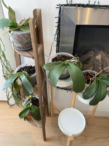 Ikea Plant Stand beschikbaar voor biedingen