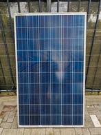 8 Zonnepanelen 245wp, Doe-het-zelf en Verbouw, Ophalen of Verzenden, Gebruikt