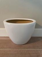 *** Mooi! Deze grote witte bloempot voor binnen ***, Tuin en Terras, Bloempotten, Ophalen, Gebruikt, Binnen, Minder dan 40 cm