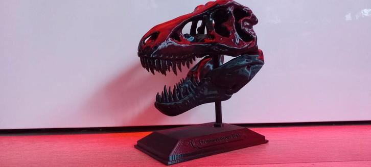 T-Rex Schedel Model, Verzamelen, Beelden en Beeldjes, Nieuw, Dier, Ophalen of Verzenden