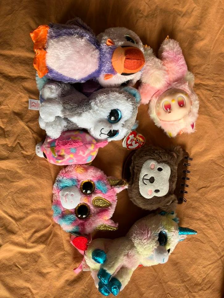 Ty beanie boo’s knuffels en Labubu, Kinderen en Baby's, Speelgoed | Knuffels en Pluche, Gebruikt, Overige typen, Ophalen of Verzenden