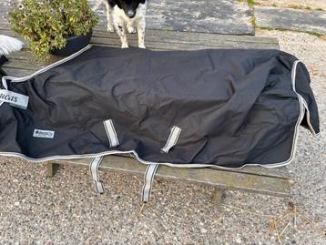 Bucas Anniversary Turnout Light SD  maat 5’9 / 130 beschikbaar voor biedingen