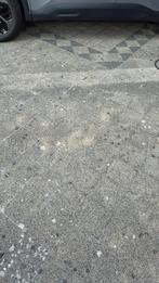 Gratis tuin tegels 20x20x6, Gebruikt, Ophalen of Verzenden, 10 m² of meer, Beton