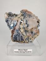Dendriet opaal Oostenrijk, Ophalen of Verzenden, Mineraal
