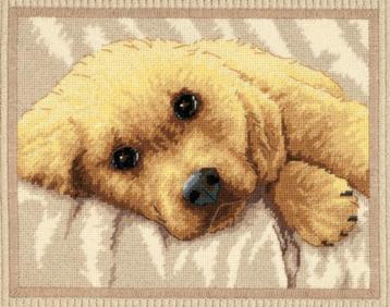 borduurpakket SWEET PUPPY needlepoint dimensions marti beschikbaar voor biedingen