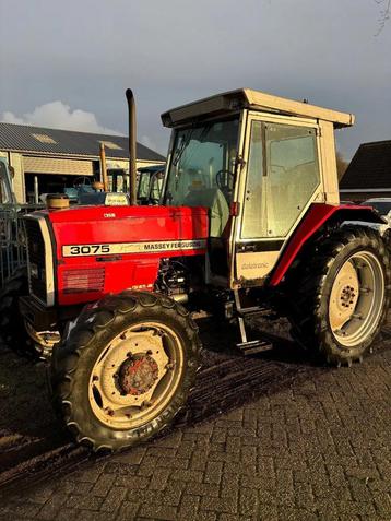Massey Ferguson 3075 3075 beschikbaar voor biedingen