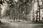 Villa Hofstetten in Ellecom, Ophalen of Verzenden, 1940 tot 1960, Gelopen, Gelderland