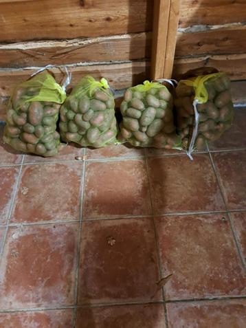 40 kg onbespoten alouette aardappel te koop. beschikbaar voor biedingen