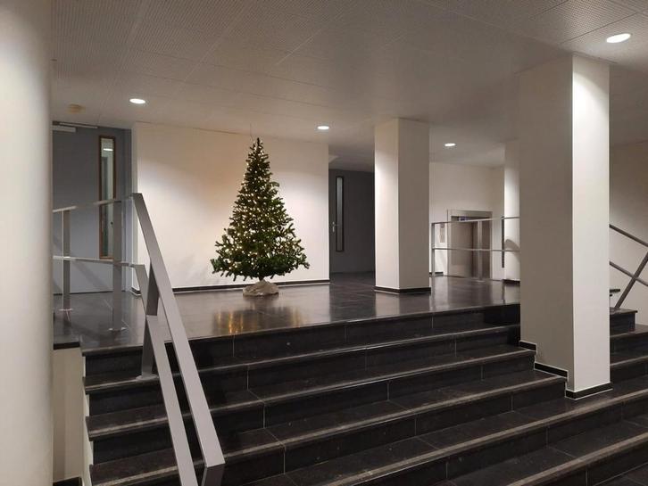 Kerstboom lengte ruim 2 meter, Diversen, Kerst, Ophalen