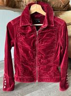 Fluwelen jasje H&M rood M, Kleding | Dames, Ophalen of Verzenden, Zo goed als nieuw, Maat 38/40 (M), Rood