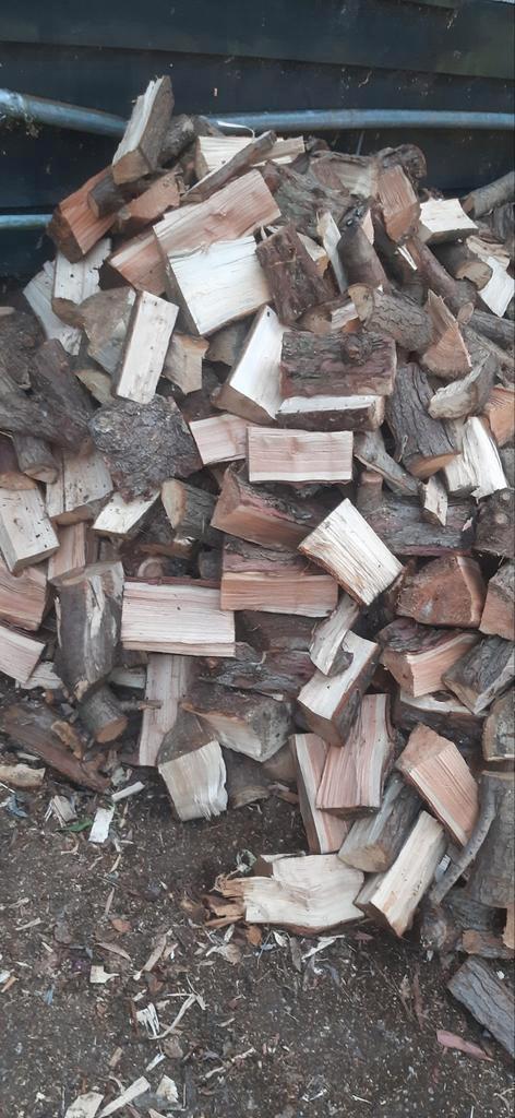 Haardhout den/Conifeer/lariks, Tuin en Terras, Haardhout, Blokken, Overige houtsoorten, Minder dan 3 m³, Ophalen