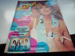 HITKRANT NR 30 1981-PAAY-DOLLY DOTS-ABBA-QUEEN-BABE-MAYWOOD, Verzamelen, Tijdschriften, Kranten en Knipsels, Verzenden, 1980 tot heden