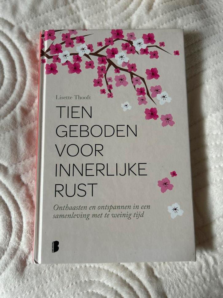 Tien Geboden voor Innerlijke Rust - Lisette Thooft, Boeken, Esoterie en Spiritualiteit, Zo goed als nieuw, Achtergrond en Informatie