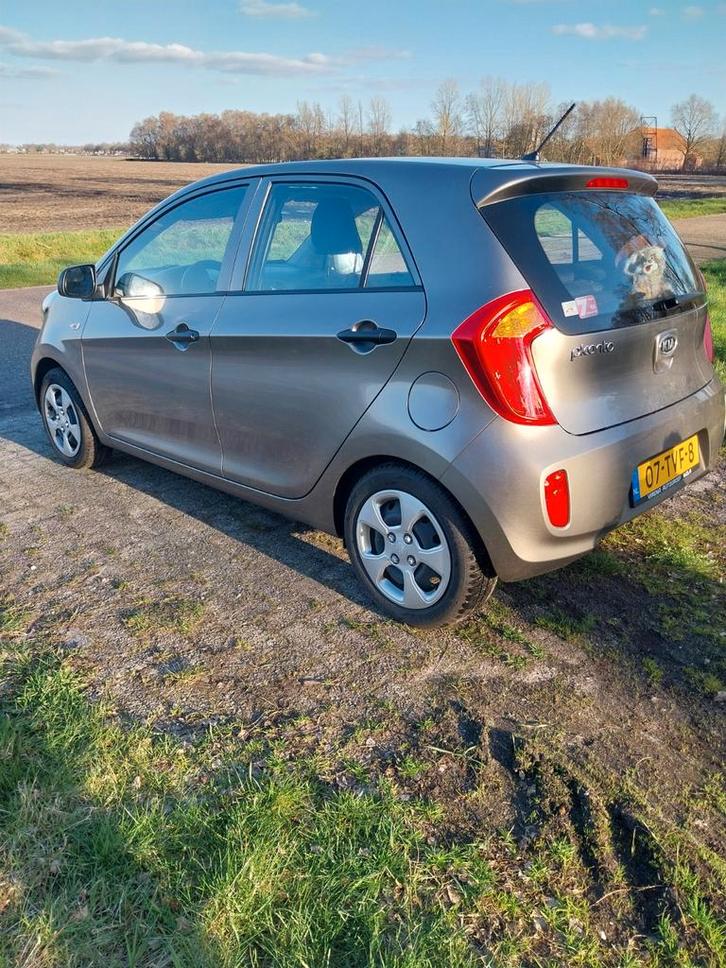 Kia Picanto 1.0 Cvvt 5-DRS 2012 Grijs, Auto's, Kia, Picanto, Benzine, A, Hatchback, Handgeschakeld, Origineel Nederlands, Zilver of Grijs