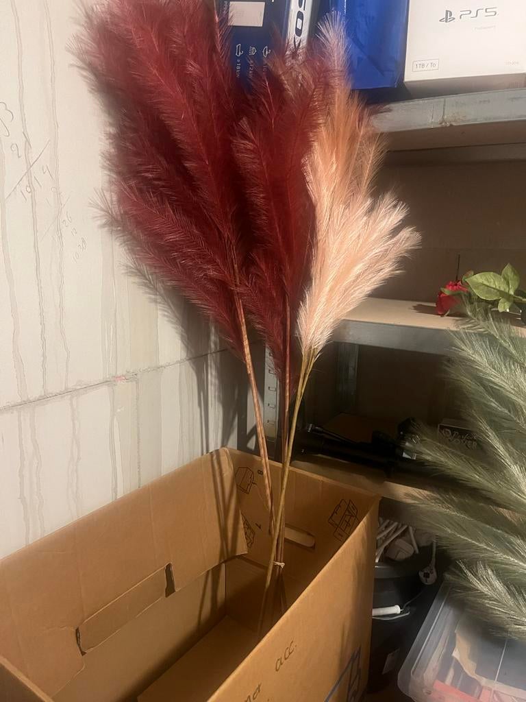 Decoratieve pluimen - Pampasgras look, Ophalen, Gebruikt