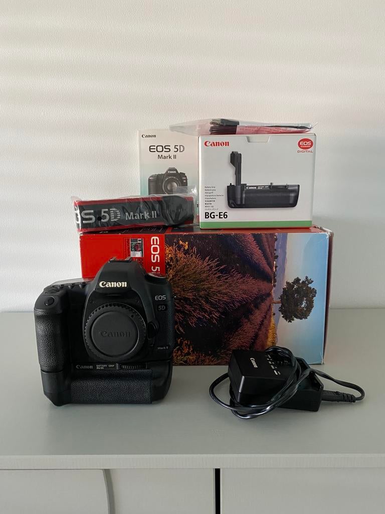 Canon EOS 5D mark II, Audio, Tv en Foto, Fotocamera's Digitaal, Ophalen, Gebruikt, Spiegelreflex, Canon