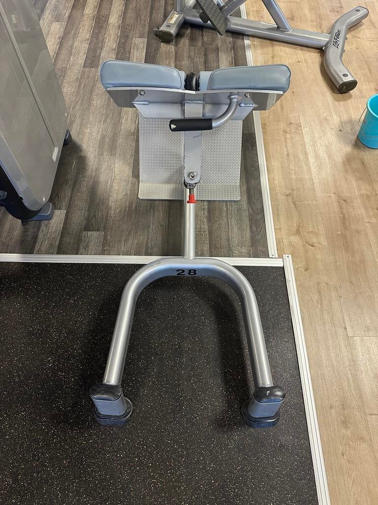 Life Fitness Hyperextension - Sportschool Kwaliteit, Sport en Fitness, Ophalen, Gebruikt, Rug, Krachtstation