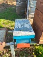 Bijenkast spaarraam, Bijen