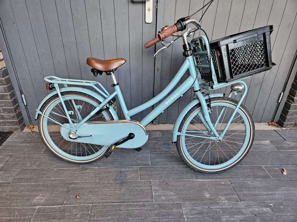 ZGAN Popal Daily Dutch Basic Meisjesfiets 22 inch, Fietsen en Brommers, Terugtraprem, Versnellingen, Zo goed als nieuw, Minder dan 47 cm