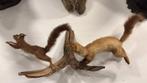 Opgezette eekhoorn met marter, Ophalen of Verzenden, Zo goed als nieuw, Wild dier, Opgezet dier
