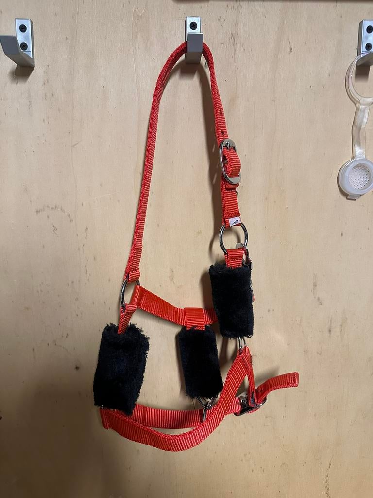 Halster met bont, Dieren en Toebehoren, Ophalen of Verzenden, Nieuw