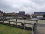 Paardenbak 20x20 fundering op bielzen - alles hardhout, Weidegang, 2 of 3 paarden of pony's