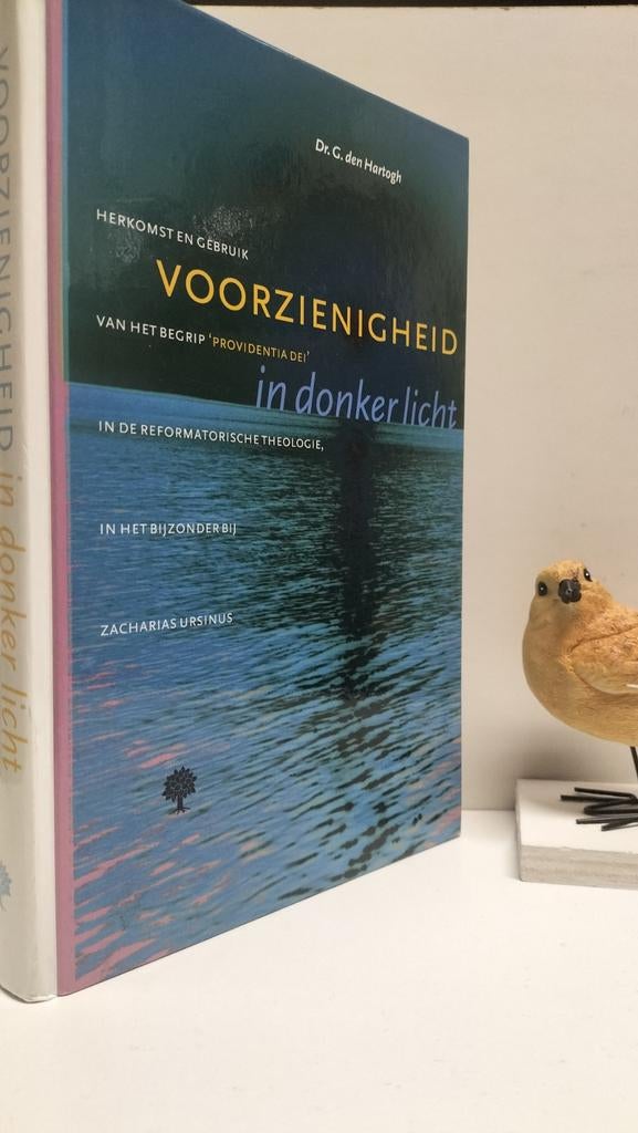 Hartogh, Dr. G. den; Voorzienigheid in donker licht, Ophalen of Verzenden, Gelezen, Christendom | Protestants