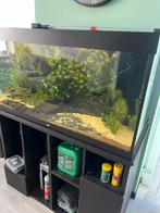 Juwel rio 350 compleet, Ophalen, Zo goed als nieuw, Gevuld zoetwateraquarium