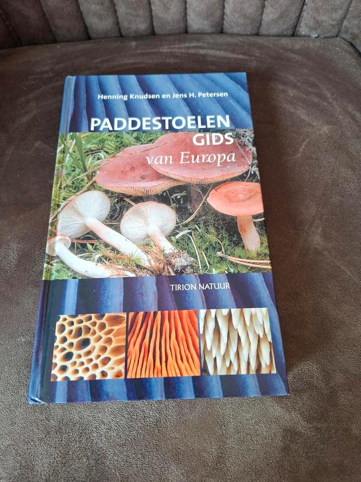 Paddenstoelen Gids van Europa - Henning Knudsen, Boeken, Natuur, Gelezen, Natuur algemeen, Ophalen of Verzenden