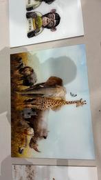 PLEXIGLAS SCHILDERIJ DESIGN SAFARI 80x60CM, Ophalen of Verzenden