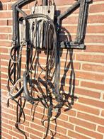 Hoofdstel, Ophalen of Verzenden, Dressuur