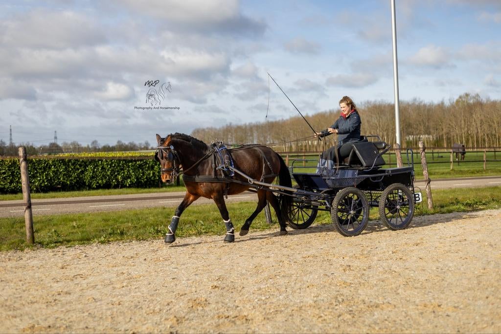 Doorrijden/mennen als je op vakantie bent?, Ophalen of Verzenden, Overige soorten