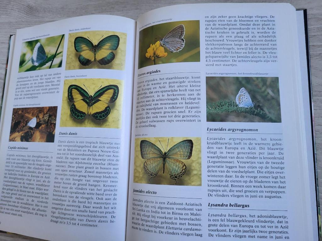 Vlinder encyclopedie Wijbren Landman, Verzenden, Zo goed als nieuw, Natuur algemeen