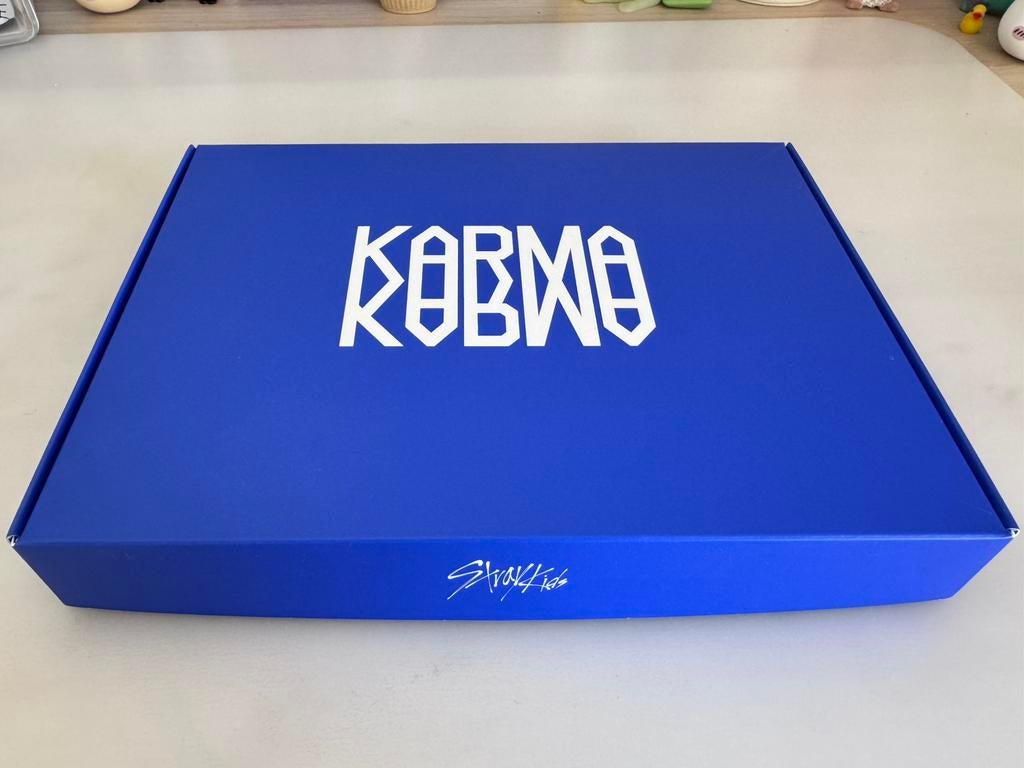 Karma album straykids met fotokaart chanbin, Ophalen of Verzenden, Zo goed als nieuw, Boxset