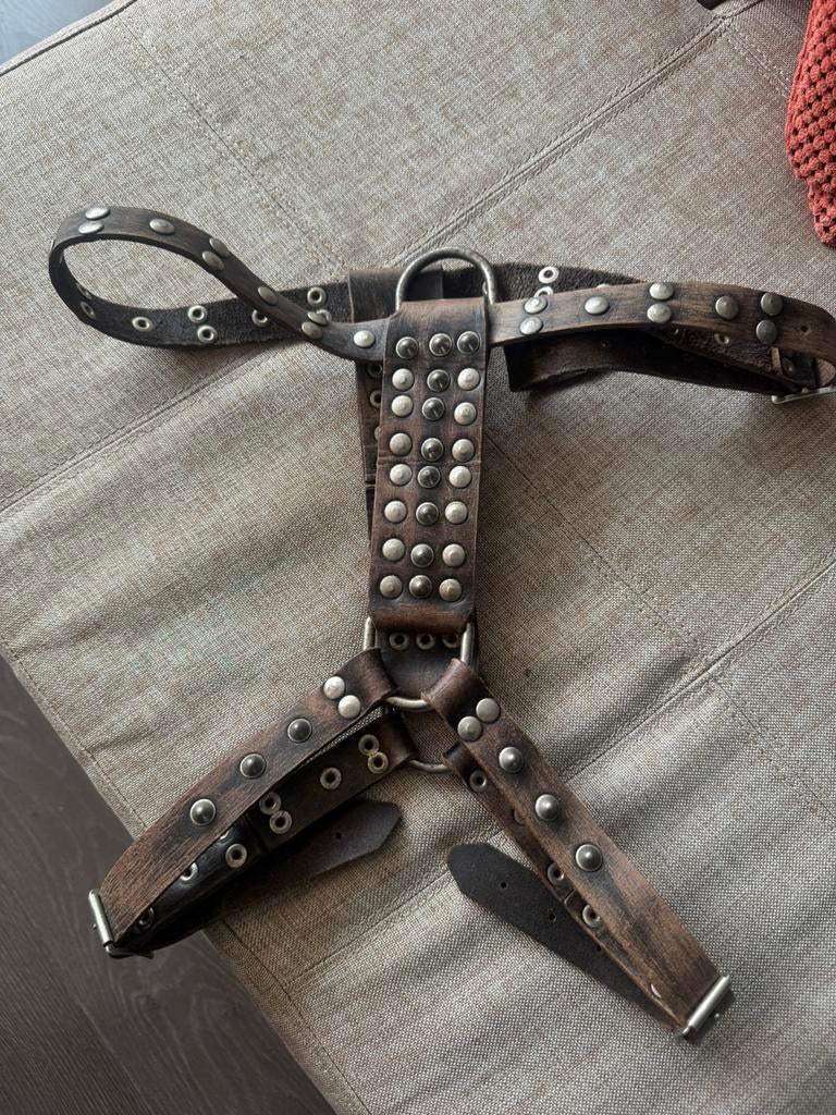 Leren Honden tuig, Ophalen, Zo goed als nieuw