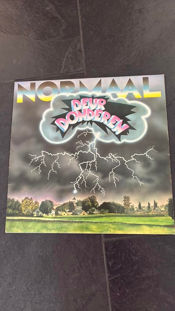Normaal – Deurdonderen, Gebruikt, 1980 - 1989, Ophalen of Verzenden, 12 inch