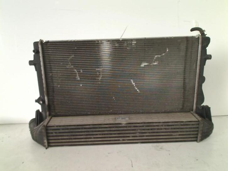 RADIATEUR Volkswagen Polo V (6R) (6R0145805F-6R0121253H), Auto-onderdelen, Airco en Verwarming, Volkswagen, Gebruikt