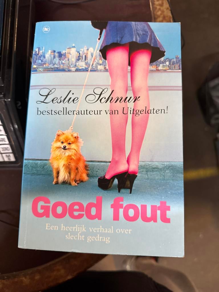 Goed Fout - Leslie Schnur, Boeken, Ophalen of Verzenden, Zo goed als nieuw, Nederland