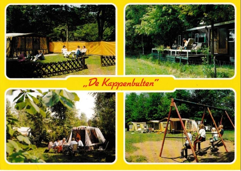 Halle   (gld)         217a, Ophalen of Verzenden, Voor 1920, Gelderland