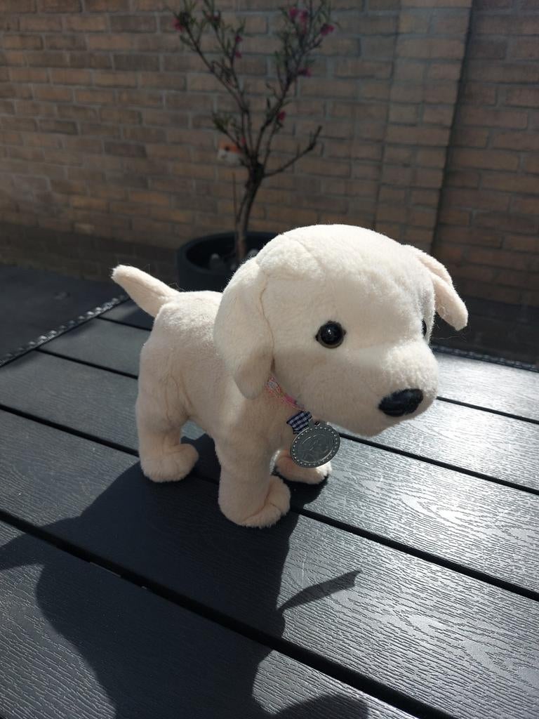 Baby Born Plashondje - Schattig Speelgoedhondje, Kinderen en Baby's, Speelgoed | Knuffels en Pluche, Overige merken, Overige karakters