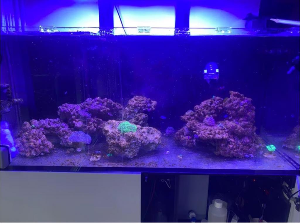 2 x Ecotech radion xr15 g6 pro aquarium lampen met mounts, Ophalen of Verzenden, Zo goed als nieuw, Verlichting of Verwarming