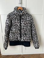 Goldbergh Ski Jas Lua Leopard, Kleding | Dames, Wintersportkleding, Ophalen of Verzenden, Zo goed als nieuw, Maat 38/40 (M), Jack