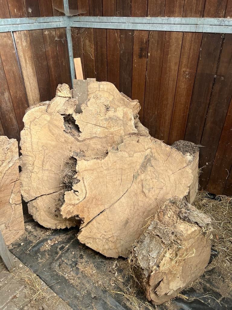 5 Houten Schijven 150 jaar oude Beuk, Doe-het-zelf en Verbouw, Hout en Planken, Ophalen, Overige typen, 50 mm of meer, Beuken