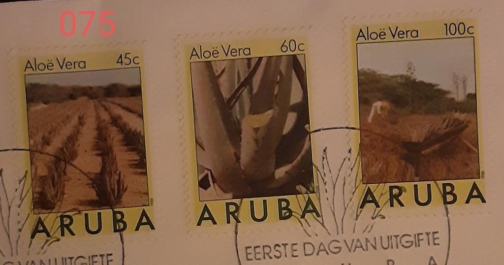 ARUBA, Ophalen of Verzenden