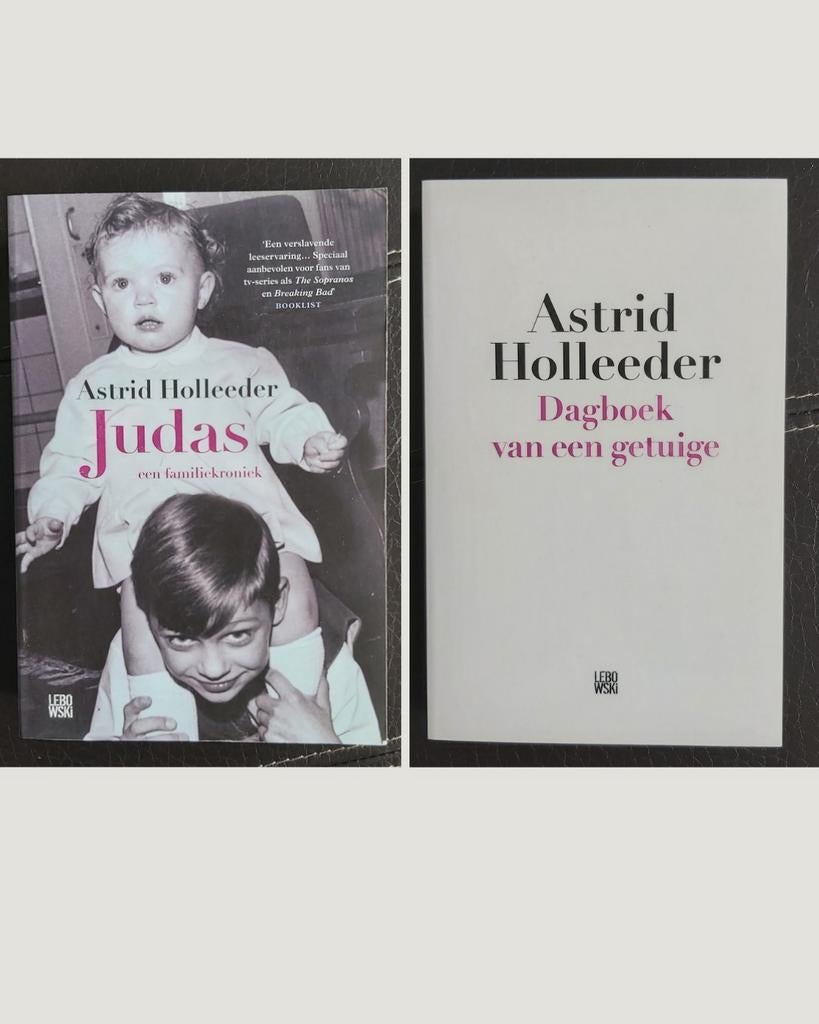 Boeken Astrid Holleeder NIEUW ongelezen!, Ophalen of Verzenden, Nieuw, Astrid Holleeder