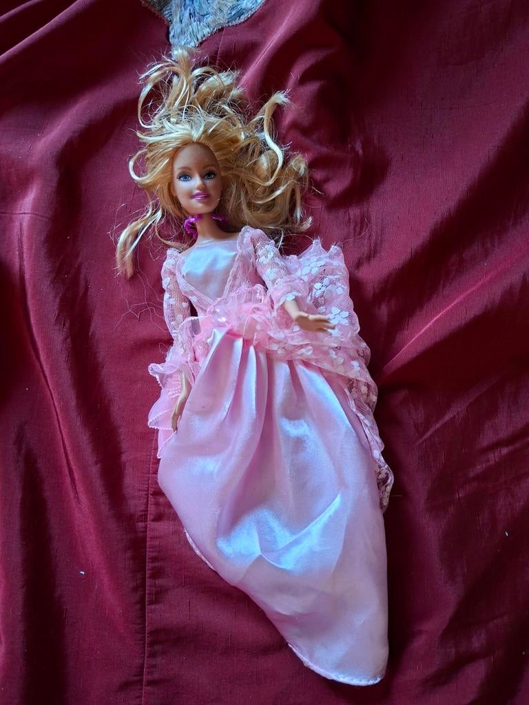 barbie, Kinderen en Baby's, Carnavalskleding en Verkleedspullen, Ophalen of Verzenden, 146 t/m 152, Meisje
