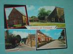 17) Kleuren ansichtkaart Ternaard, Verzamelen, Ansichtkaarten | Nederland, Ophalen of Verzenden, 1960 tot 1980, Gelopen, Friesland
